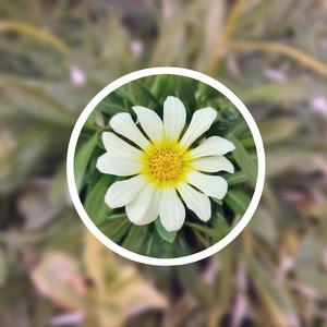 岳洗澡把我弄硬了
