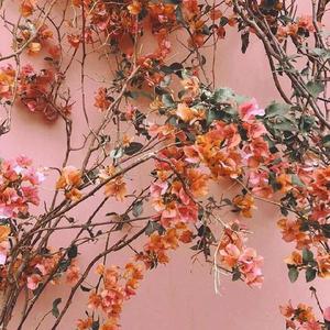 岳洗澡把我弄硬了
